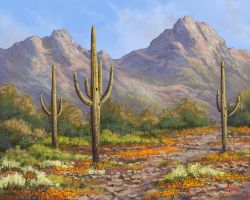 Southwest Images